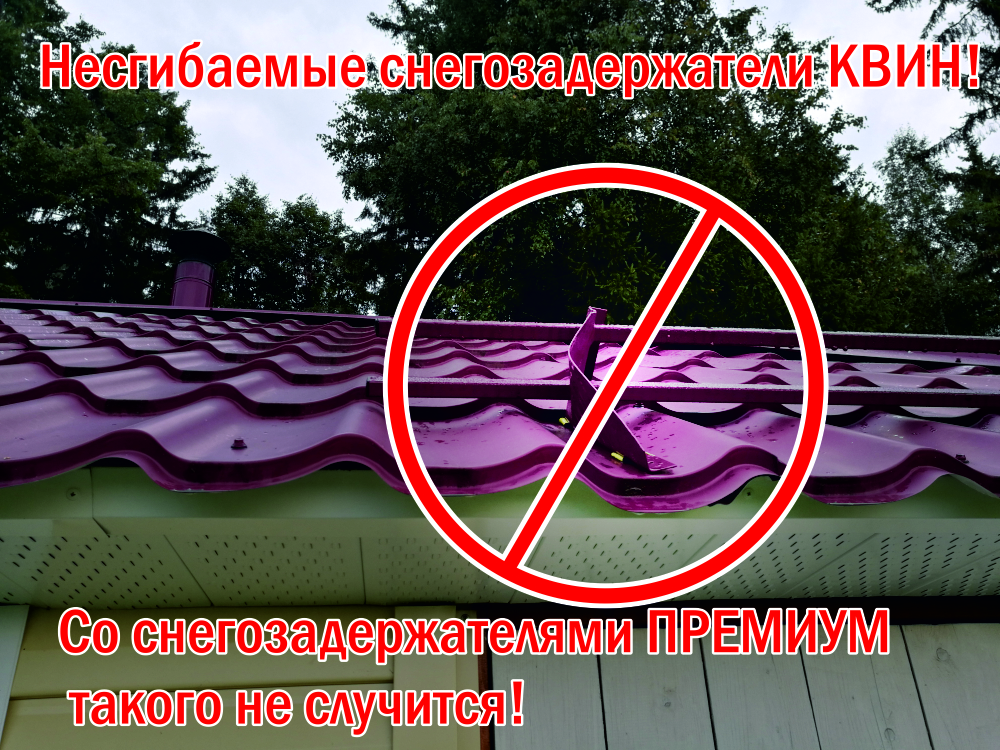 несгибаемые снегозады.jpg