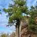 Сказочное путешествие в "Каменный город" и "Этнопарк истории реки Чусовой"