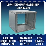 Шкаф телекоммуникационный 12U (600х608)